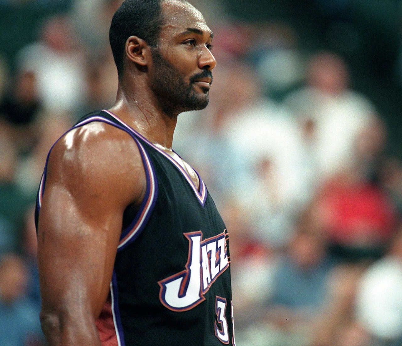 许多升班马 许多升班马