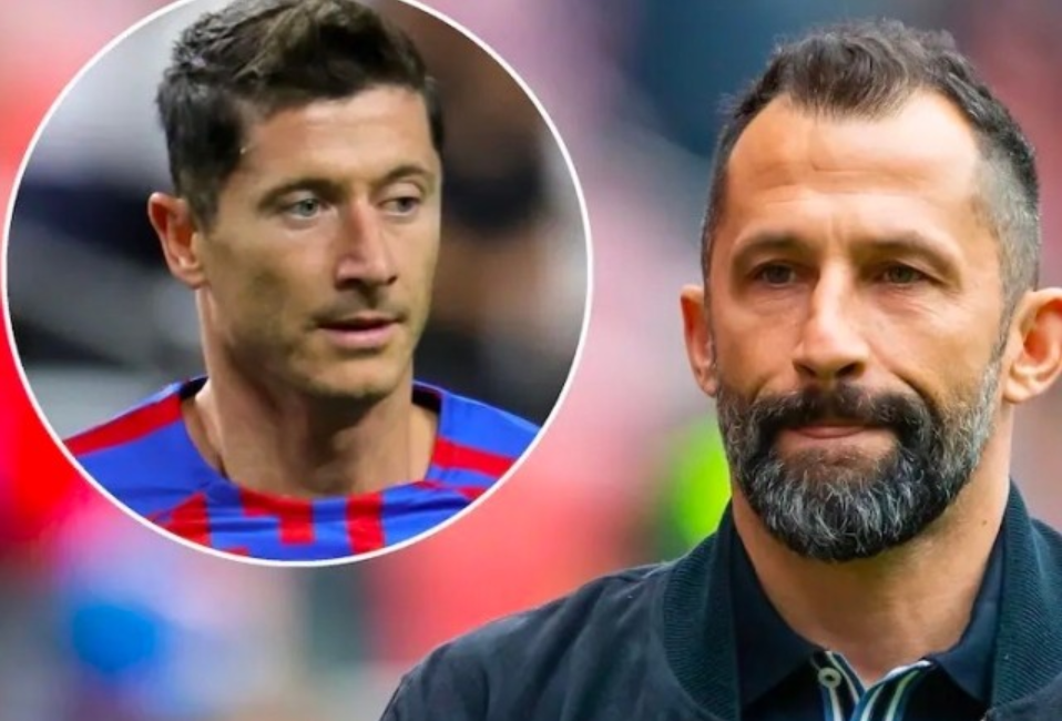 表现尤为亮 表现尤为亮