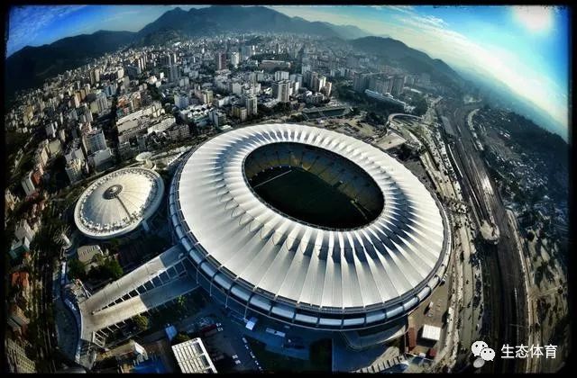 翼暗草